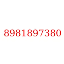 8981897380