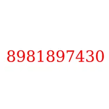 8981897430