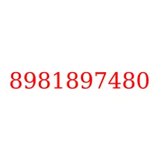 8981897480