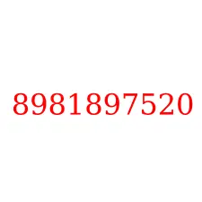 8981897520