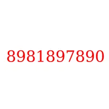 8981897890