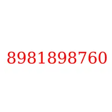 8981898760