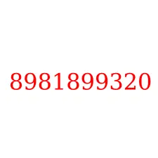 8981899320