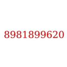 8981899620