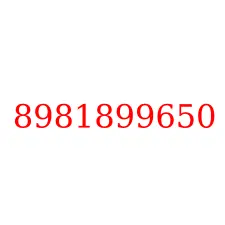 8981899650