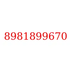 8981899670