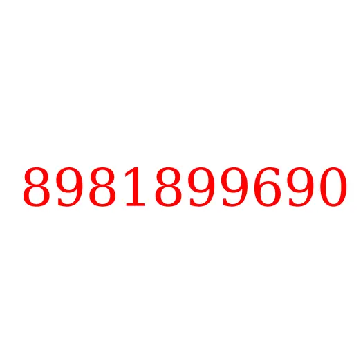 8981899690 пробка, 8981899690