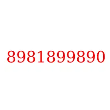 8981899890