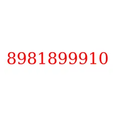 8981899910