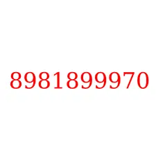 8981899970