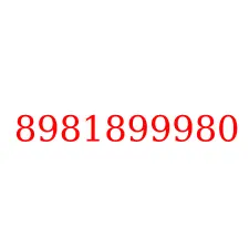 8981899980