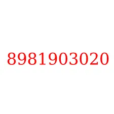 8981903020