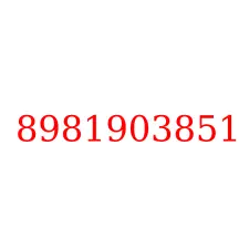 8981903851