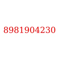 8981904230