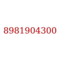 8981904300