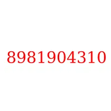 8981904310