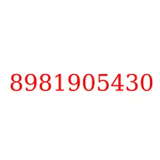 8981905430