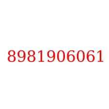 8981906061