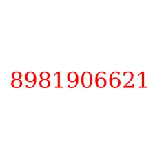 8981906621