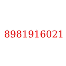 8981916021