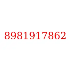8981917862