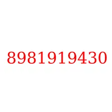 8981919430