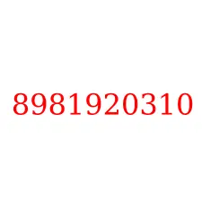 8981920310