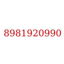8981920990