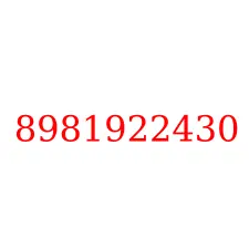 8981922430