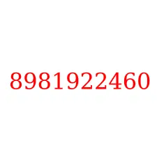 8981922460