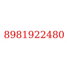 8981922480