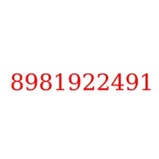 8981922491