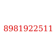 8981922511