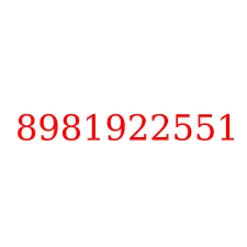 8981922551