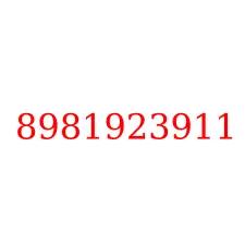 8981923911