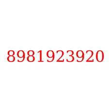 8981923920