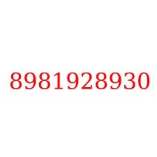 8981928930