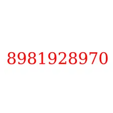 8981928970