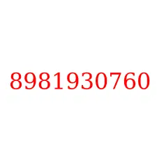 8981930760