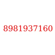 8981937160