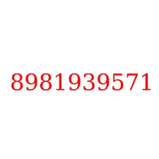 8981939571