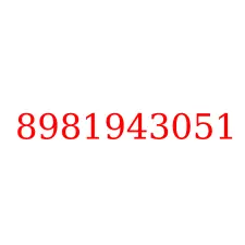 8981943051