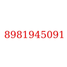 8981945091