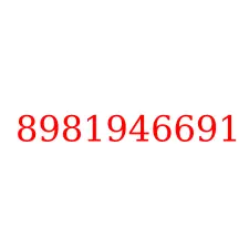 8981946691