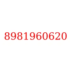 8981960620