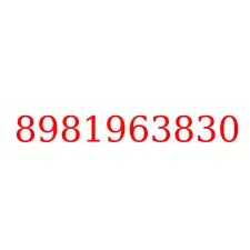 8981963830
