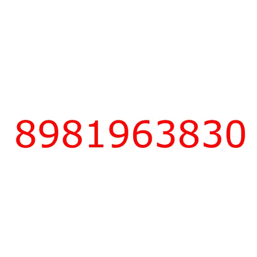 8981963830 PIECE; DIST, 8981963830