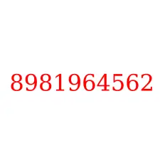 8981964562