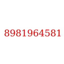 8981964581