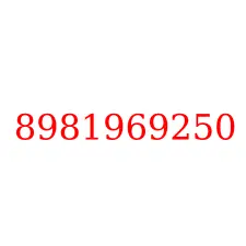 8981969250